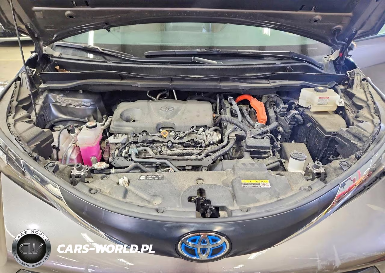2024 Toyota Sienna Xle VIN:5TDYSKFC7RS114503 - 12