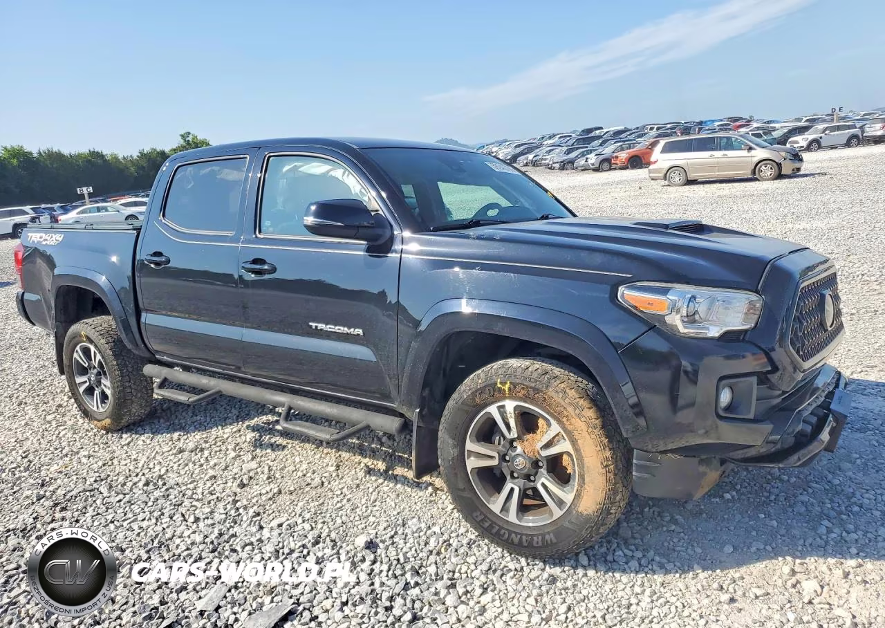 2019 Toyota Tacoma Trd Sport VIN:3TMCZ5AN5KM189772 - 4