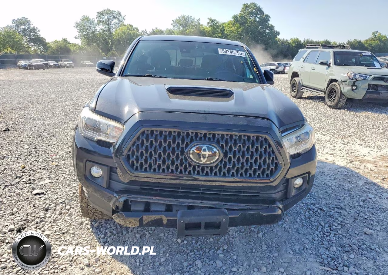 2019 Toyota Tacoma Trd Sport VIN:3TMCZ5AN5KM189772 - 5