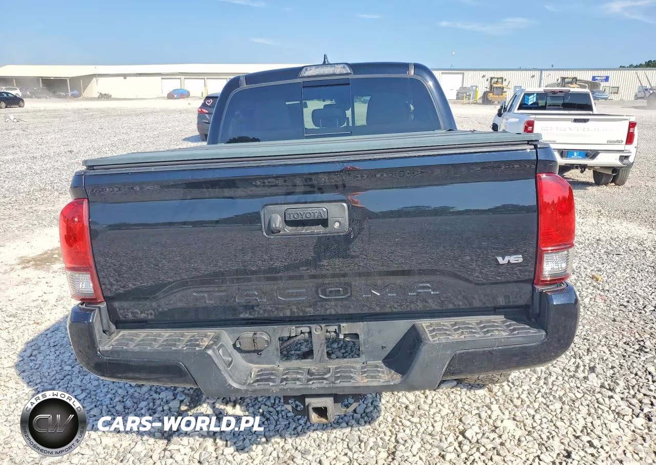 2019 Toyota Tacoma Trd Sport VIN:3TMCZ5AN5KM189772 - 6