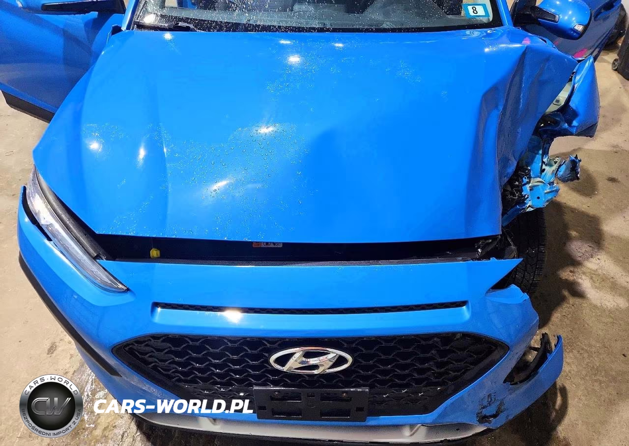 2019 Hyundai Kona Sel VIN:KM8K6CAA6KU351373 - 11