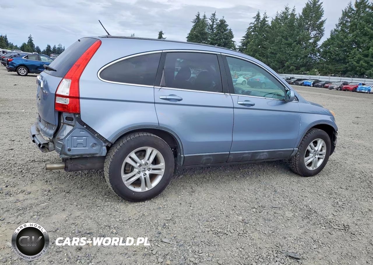 2010 Honda Cr-V Exl VIN:5J6RE4H76AL019499 - 3