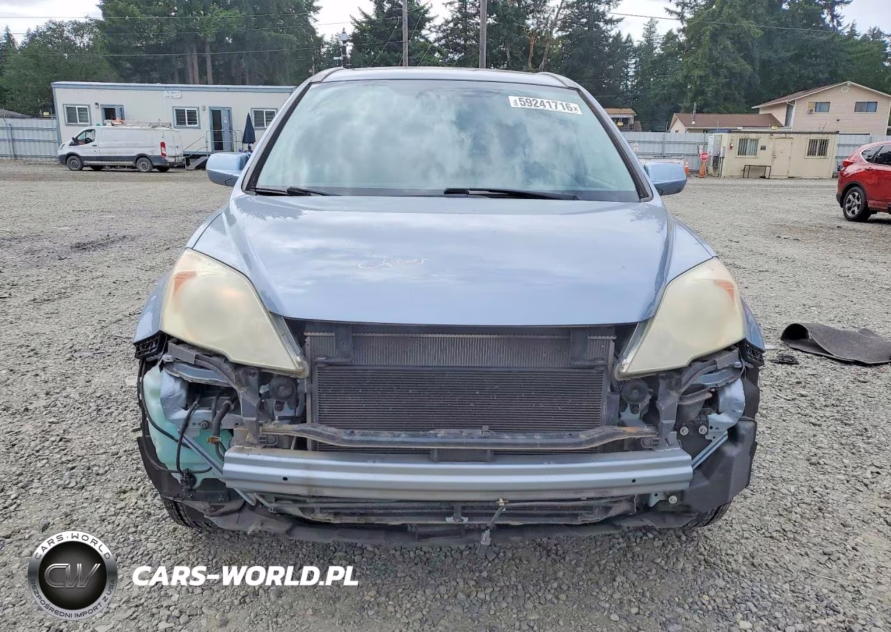 2010 Honda Cr-V Exl VIN:5J6RE4H76AL019499 - 5