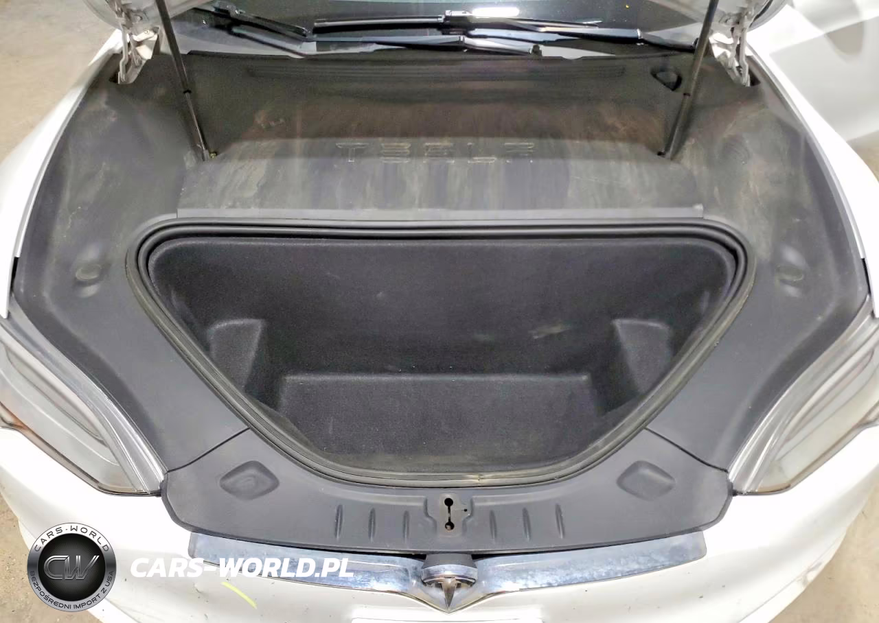 2021 Tesla Model S VIN:5YJSA1E24MF417800 - 11