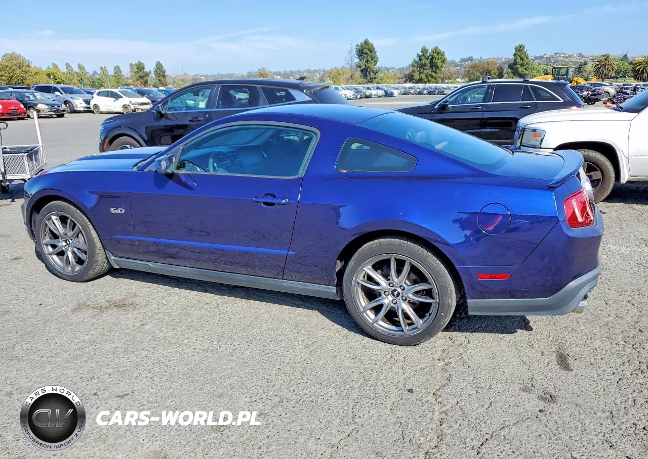 2011 Ford Mustang Gt VIN:1ZVBP8CF2B5169572 - 2