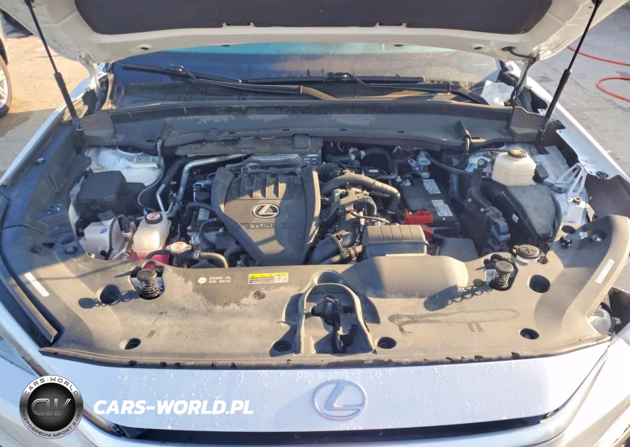 2024 Lexus Tx 350 Luxury VIN:5TDAAAB63RS002893 - 12
