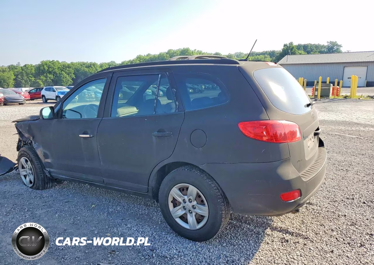 2009 Hyundai Santa Fe Gls VIN:5NMSG13D39H296198 - 2