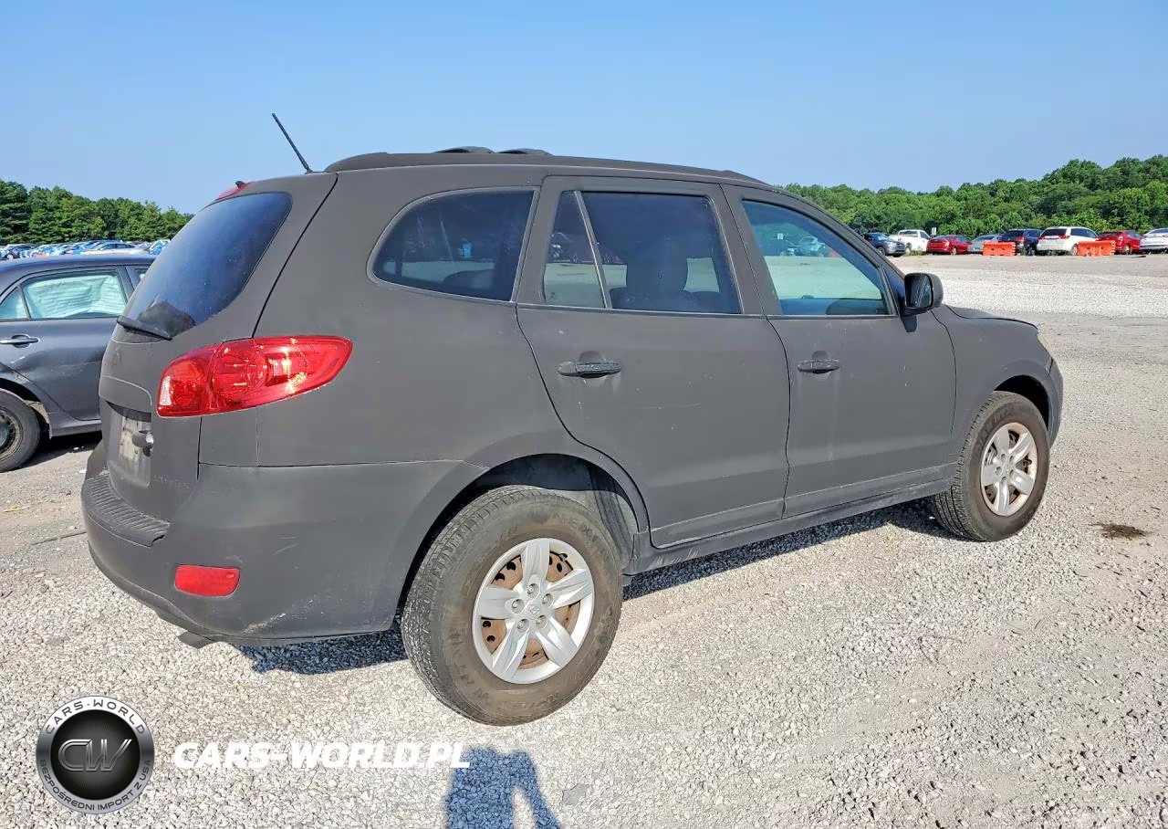 2009 Hyundai Santa Fe Gls VIN:5NMSG13D39H296198 - 3