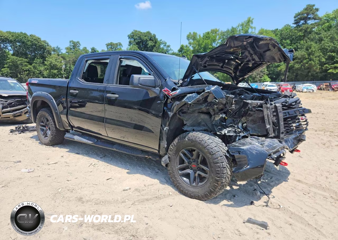 2019 Chevrolet Silverado K1500 Trail Boss Custom VIN:1GCPYCEFXKZ314758 - 4