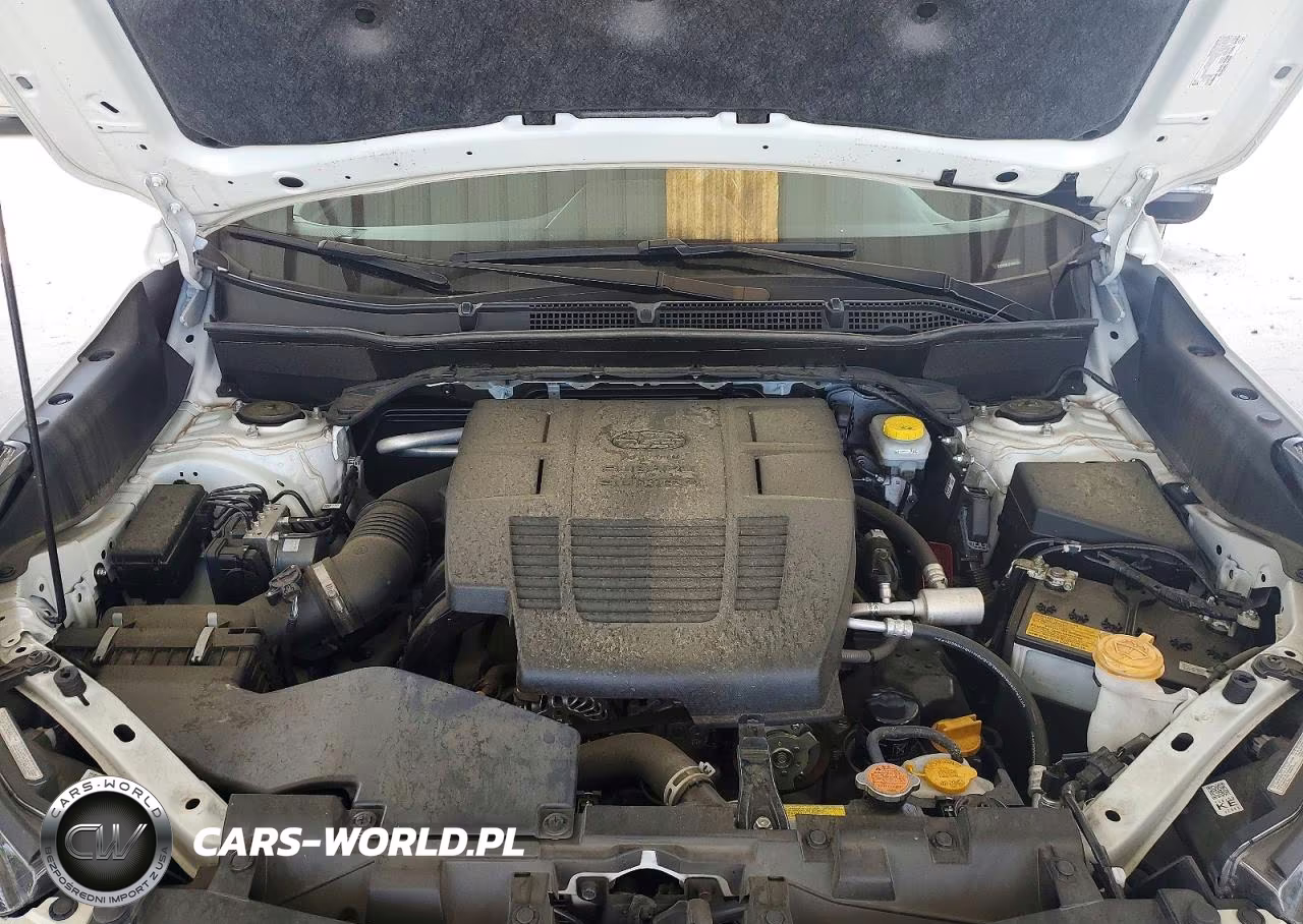 2023 Subaru Forester Wilderness VIN:JF2SKAMC1PH468135 - 11