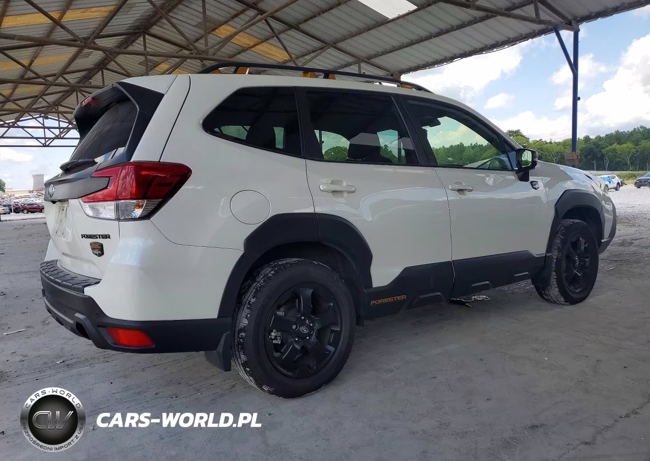 2023 Subaru Forester Wilderness VIN:JF2SKAMC1PH468135 - 3