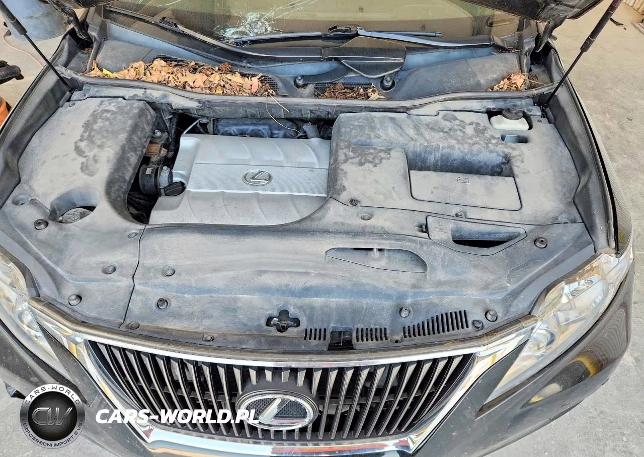 2010 Lexus Rx 350 VIN:2T2BK1BA9AC053930 - 12
