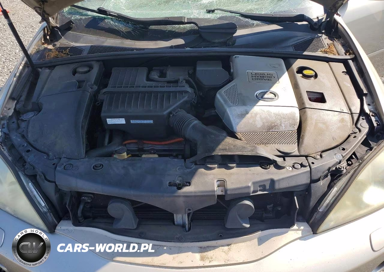 2007 Lexus Rx 400H VIN:JTJHW31UX72031885 - 12