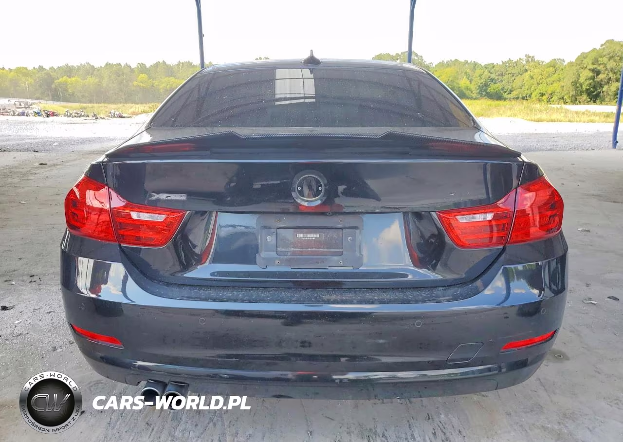2014 BMW 428 Xi VIN:WBA3N9C56EK244559 - 6