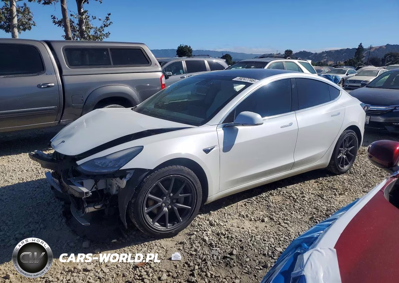 2019 Tesla Model 3