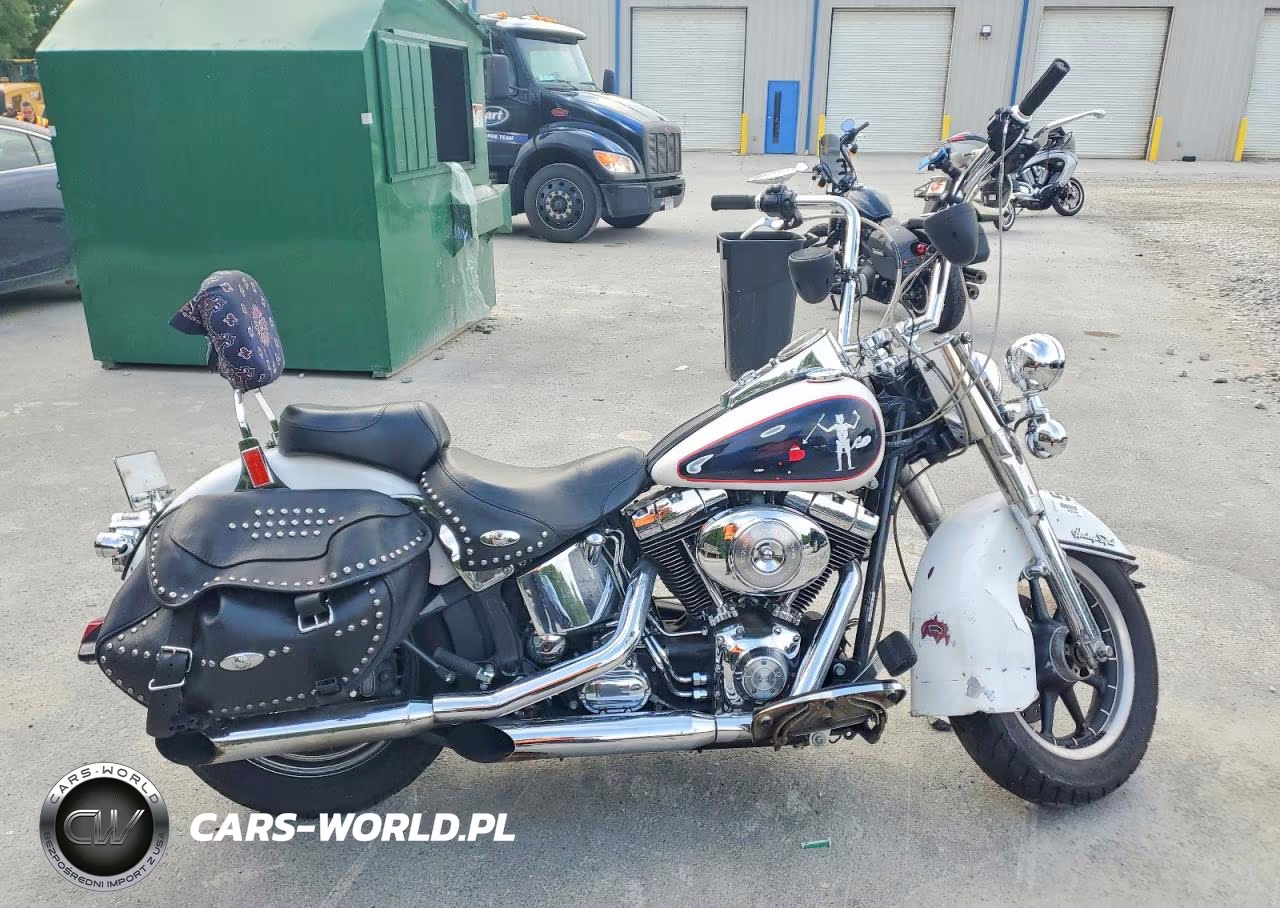 2004 Harley-Davidson Flstci