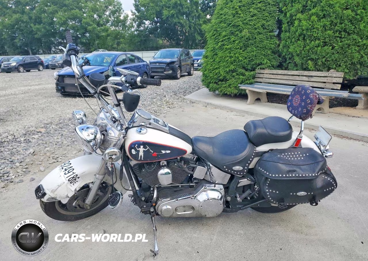 2004 Harley-Davidson Flstci VIN:1HD1BWB164Y040273 - 3