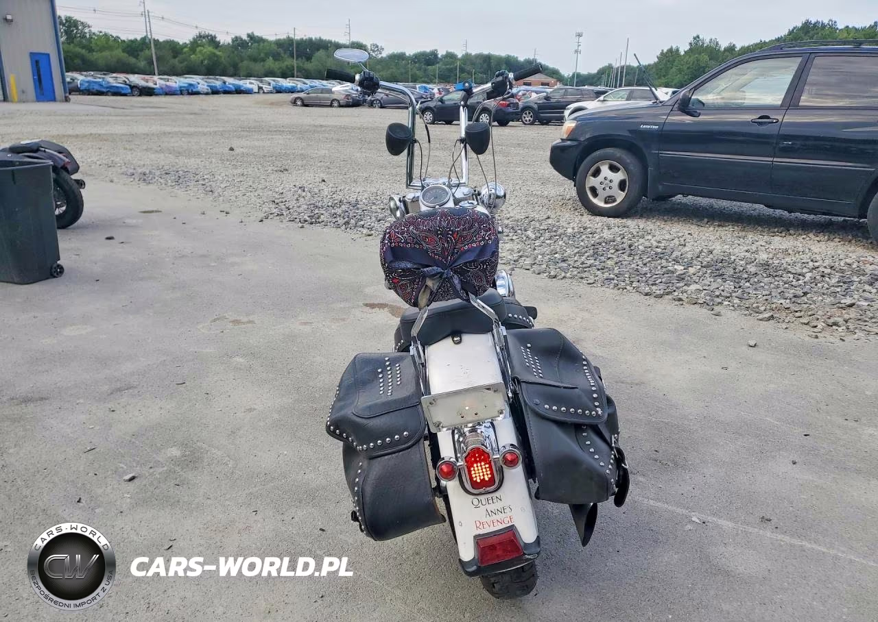 2004 Harley-Davidson Flstci VIN:1HD1BWB164Y040273 - 4