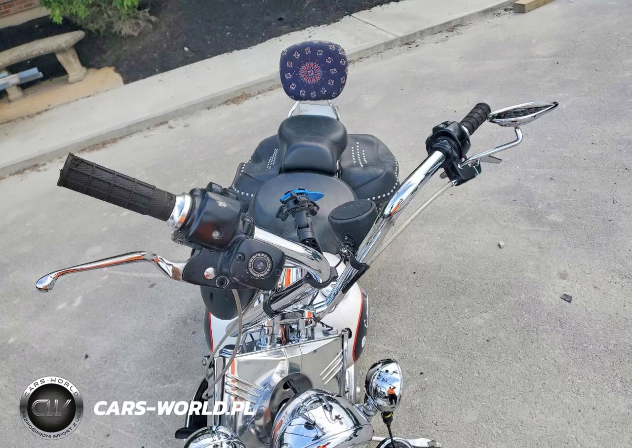 2004 Harley-Davidson Flstci VIN:1HD1BWB164Y040273 - 5
