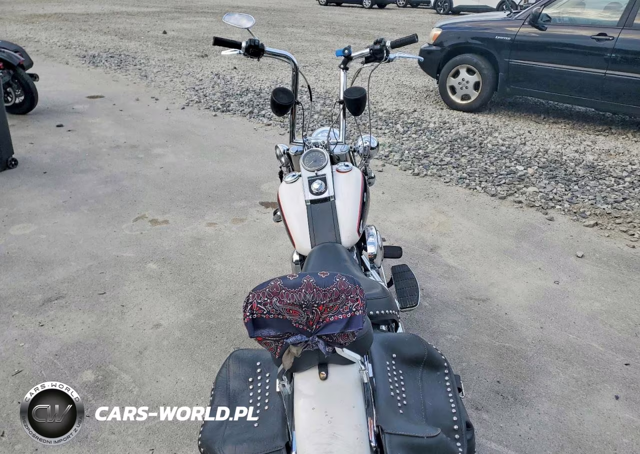 2004 Harley-Davidson Flstci VIN:1HD1BWB164Y040273 - 6