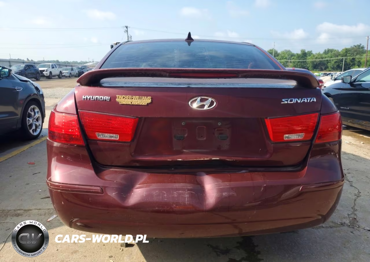 2010 Hyundai Sonata Gls VIN:5NPET4AC5AH616018 - 6