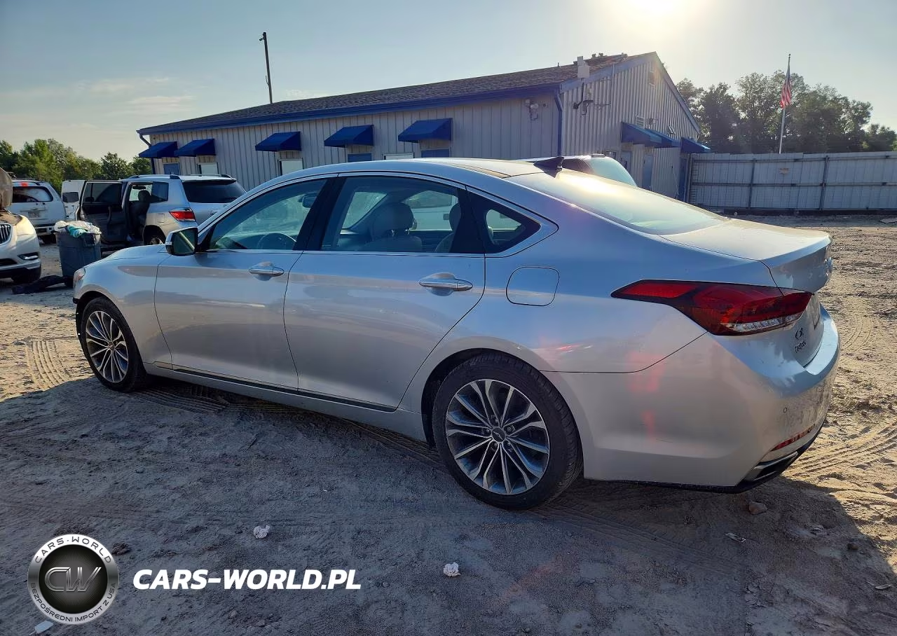 2016 Hyundai Genesis 3.8L VIN:KMHGN4JE4GU118679 - 2