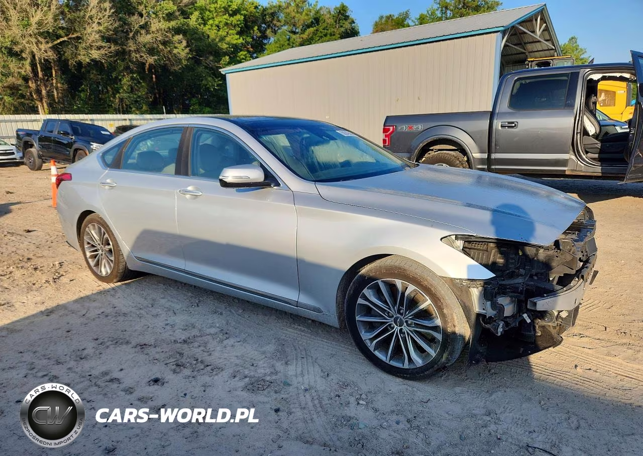 2016 Hyundai Genesis 3.8L VIN:KMHGN4JE4GU118679 - 4