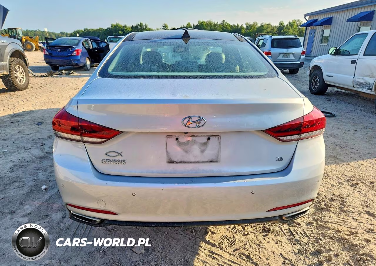 2016 Hyundai Genesis 3.8L VIN:KMHGN4JE4GU118679 - 6