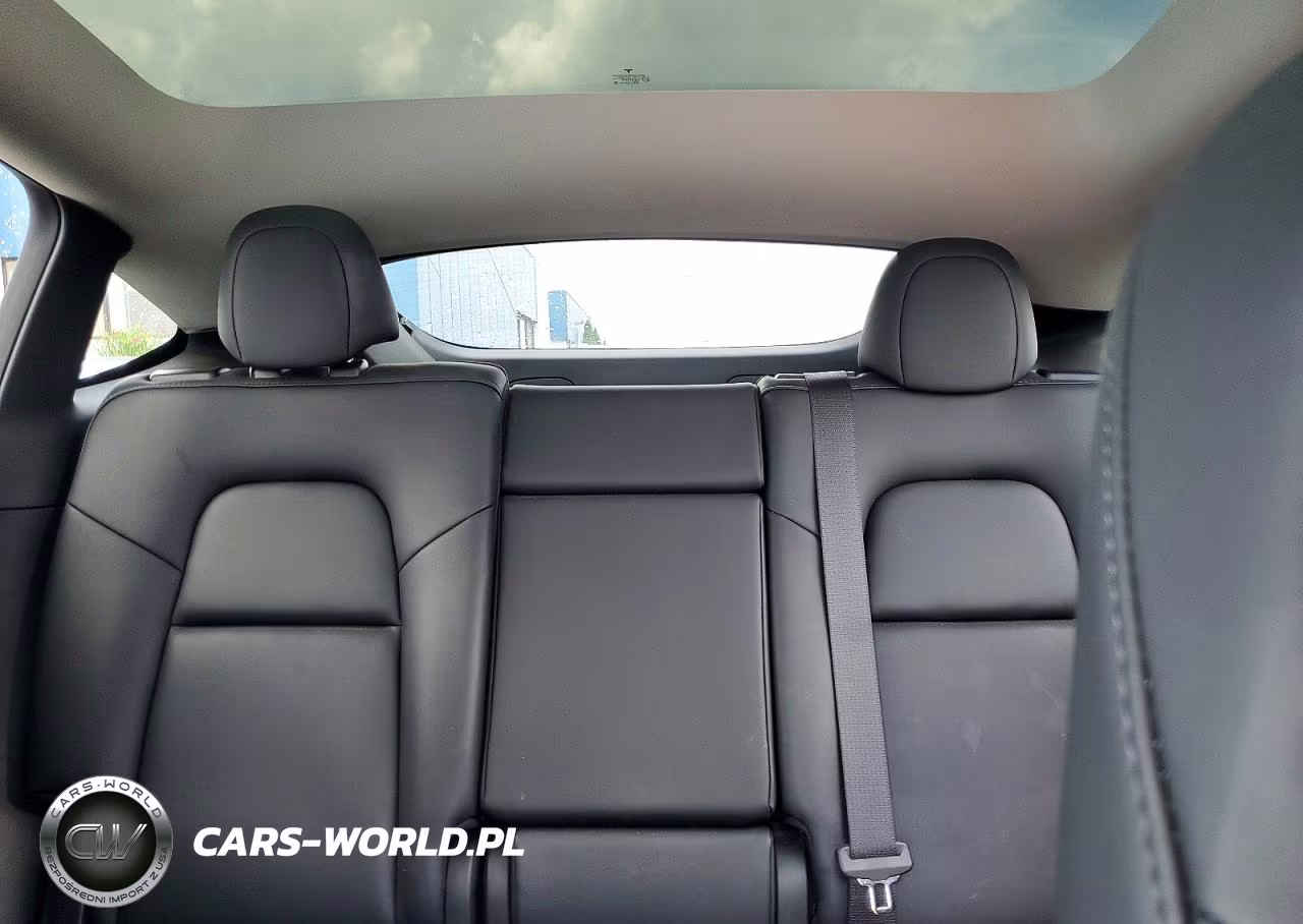 2023 Tesla Model Y VIN:7SAYGAEE4PF834022 - 10