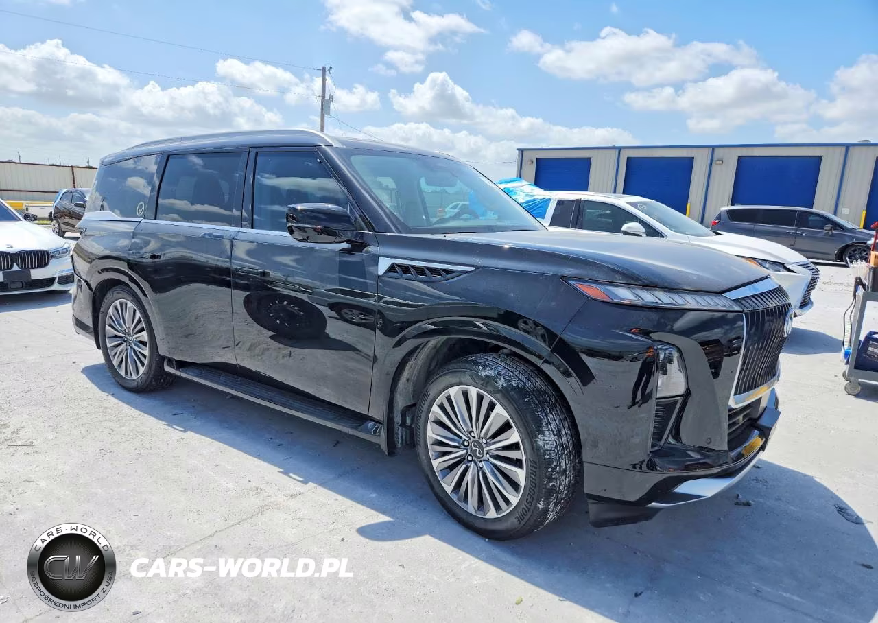 2025 Infiniti Qx80 Luxe VIN:JN8AZ3BB6S9400142 - 4