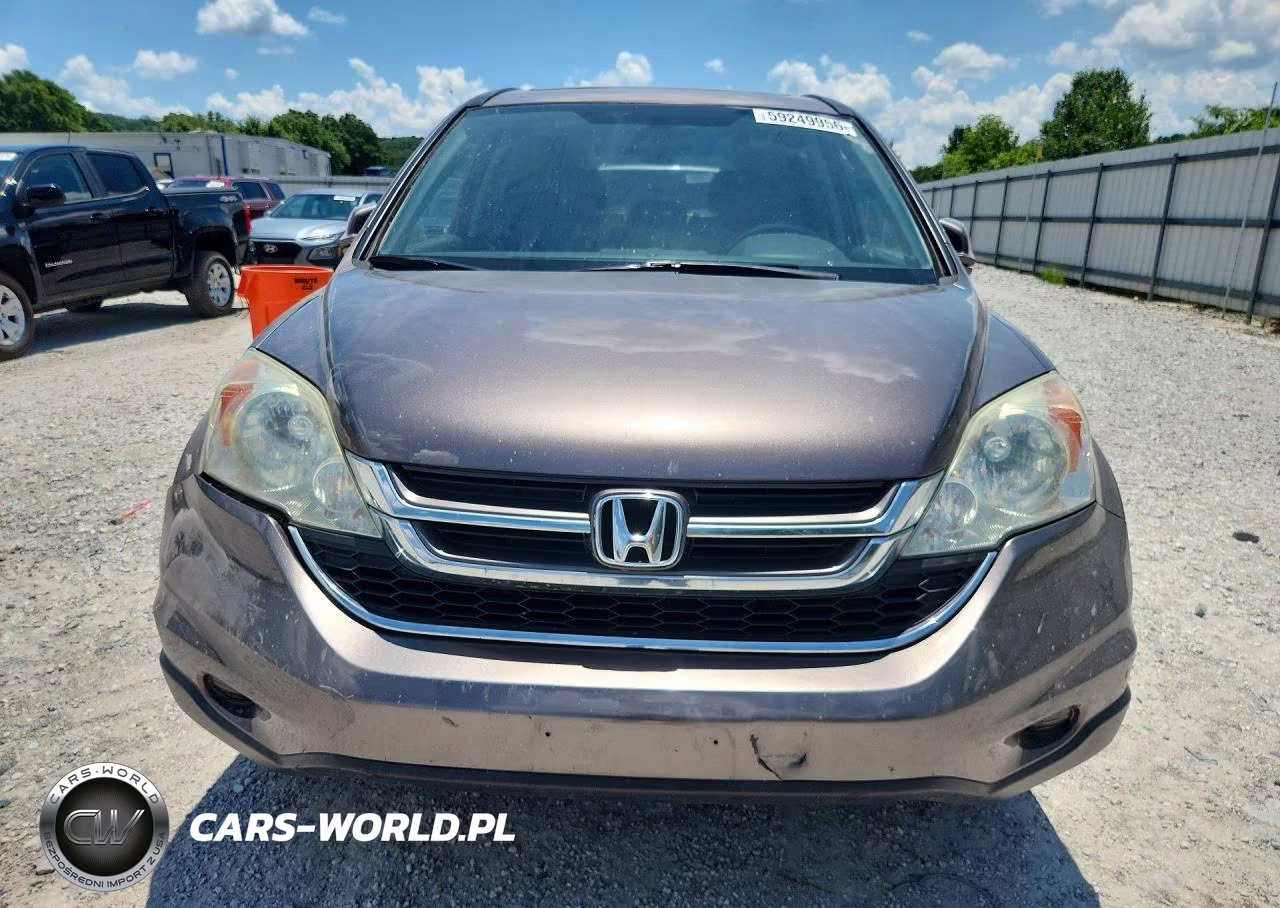 2010 Honda Cr-V Exl VIN:5J6RE4H75AL100610 - 5