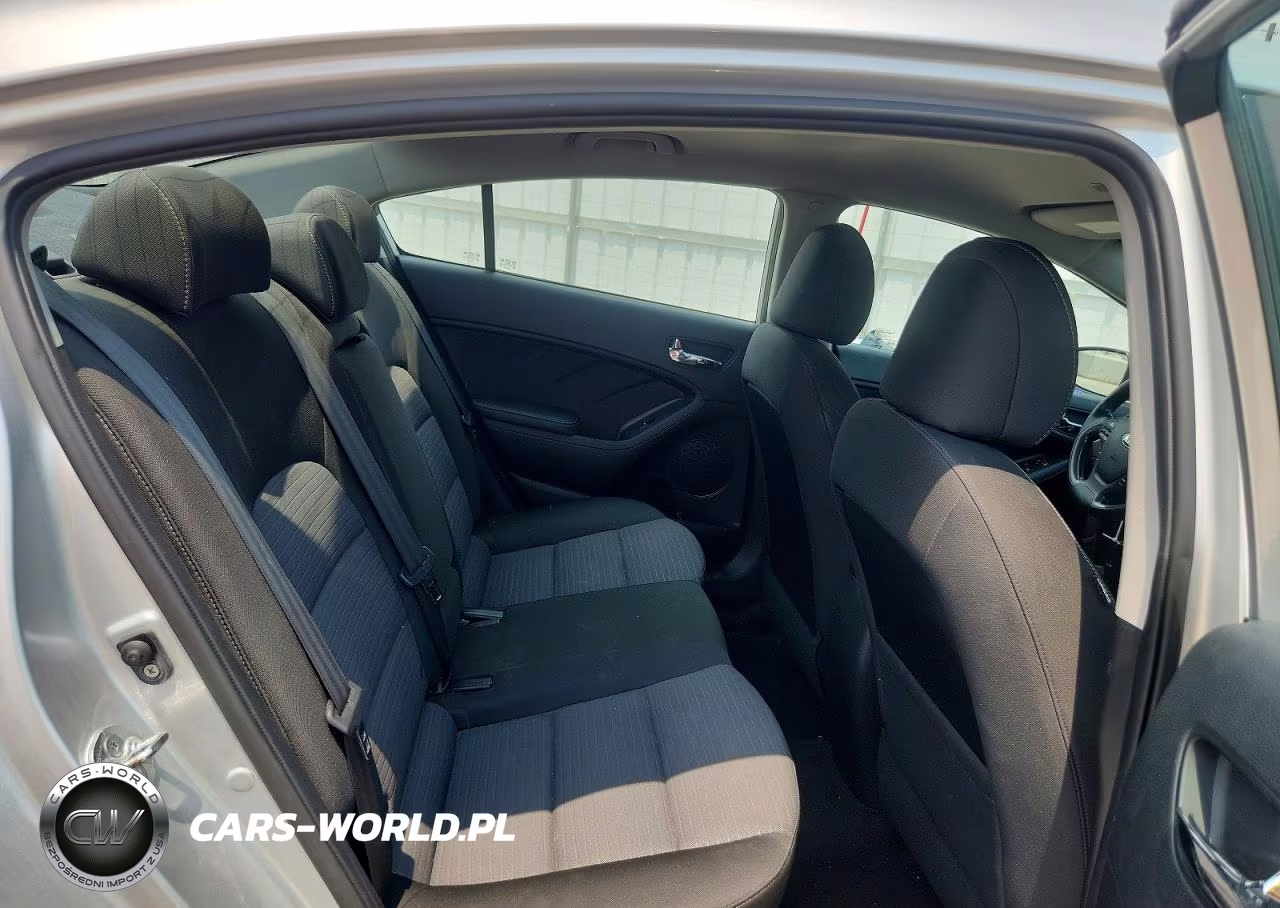 2015 Kia Forte Lx VIN:KNAFX4A6XF5283161 - 10