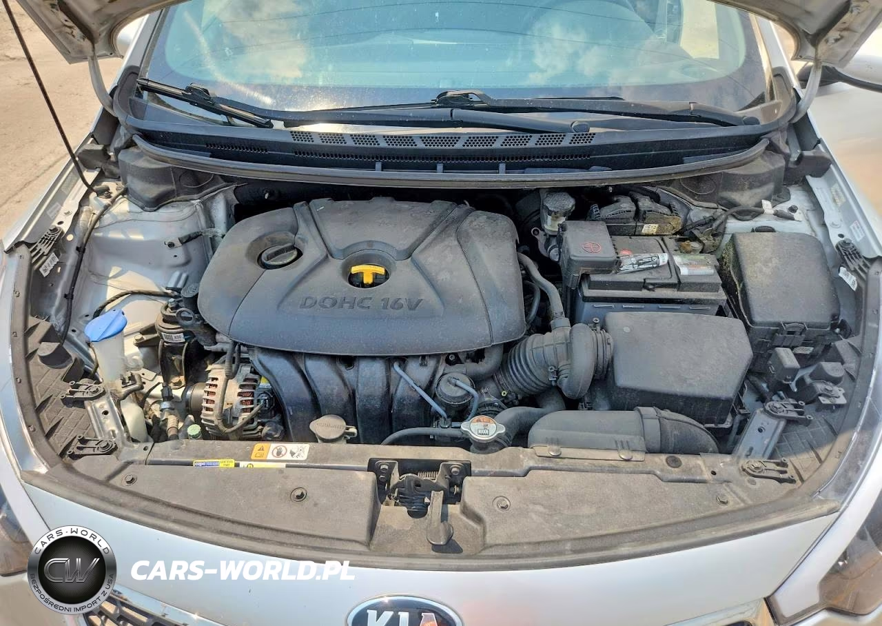 2015 Kia Forte Lx VIN:KNAFX4A6XF5283161 - 11