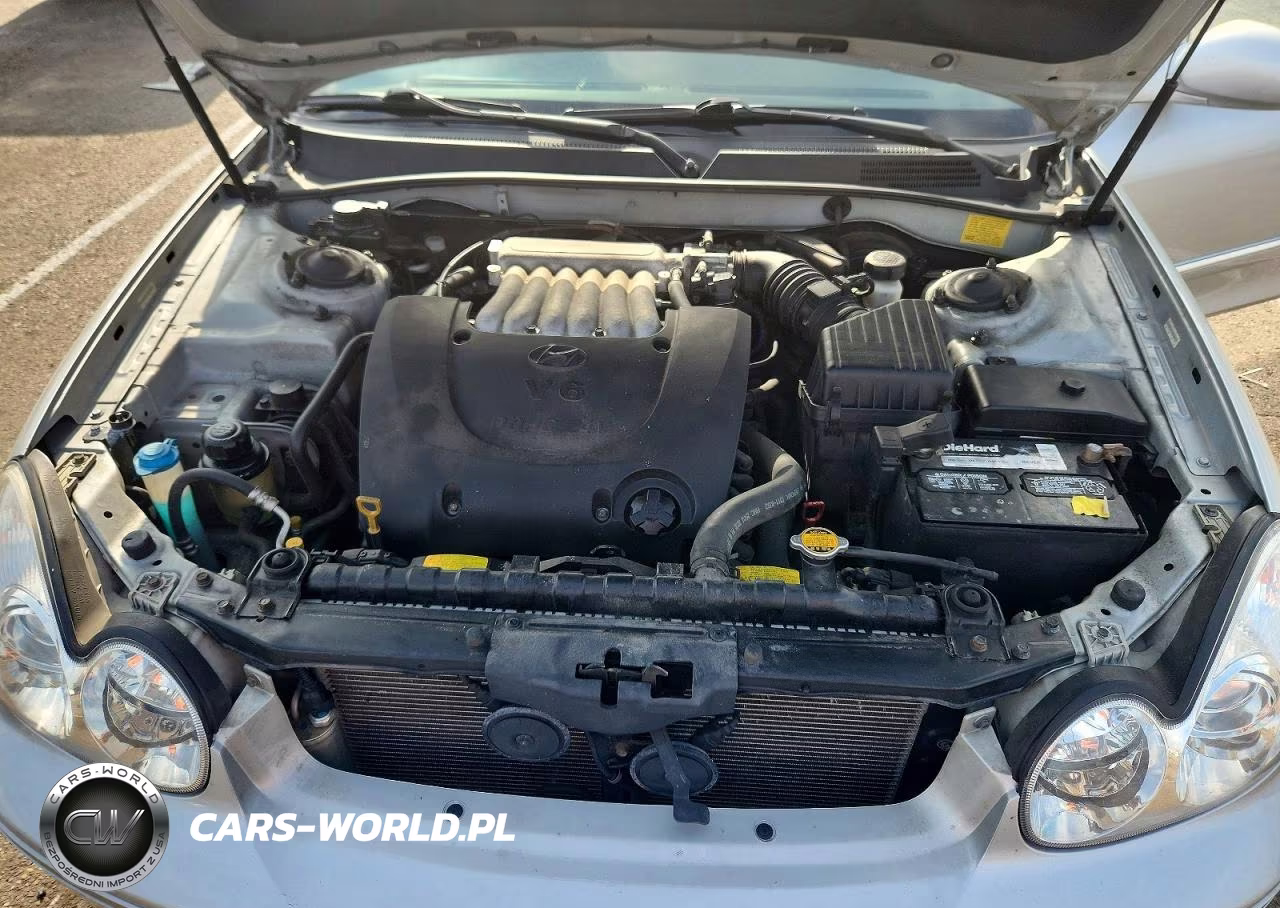 2004 Hyundai Sonata Gls VIN:KMHWF35H34A972857 - 11