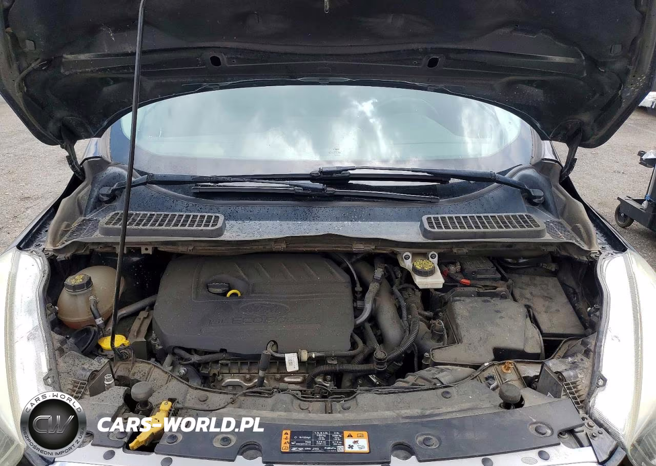 2017 Ford Escape Titanium VIN:1FMCU9JDXHUF04000 - 12