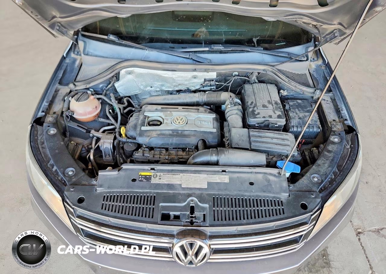 2014 Volkswagen Tiguan S VIN:WVGAV3AX7EW509702 - 12