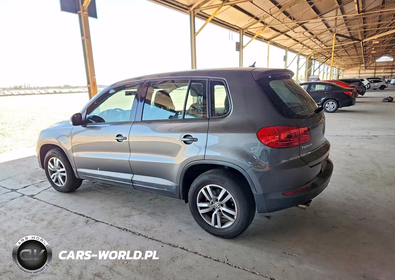 2014 Volkswagen Tiguan S VIN:WVGAV3AX7EW509702 - 2