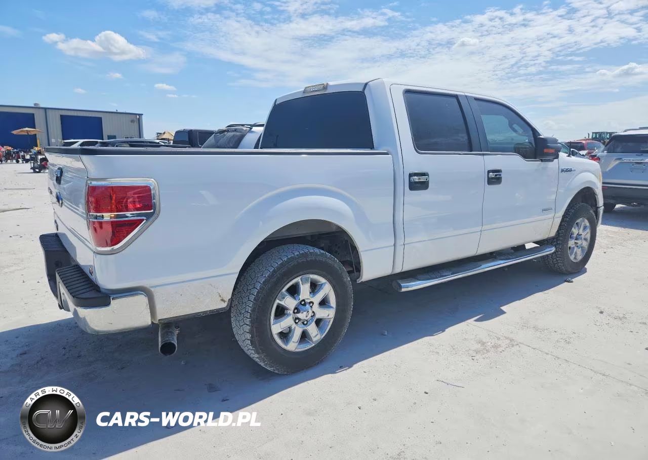 2014 Ford F150 Supercrew VIN:1FTFW1CT8EKE89313 - 3
