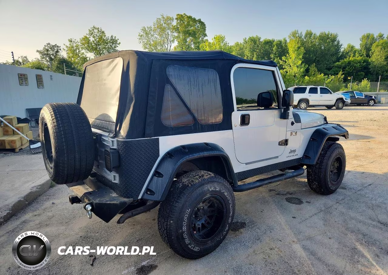 2003 Jeep Wrangler Commando-X VIN:1J4FA39S23P348207 - 3