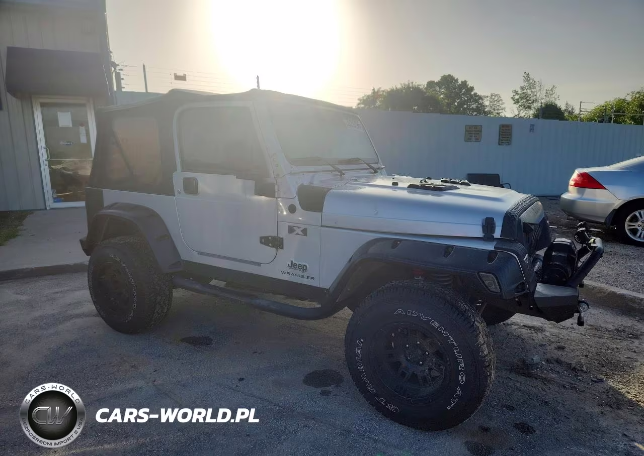 2003 Jeep Wrangler Commando-X VIN:1J4FA39S23P348207 - 4
