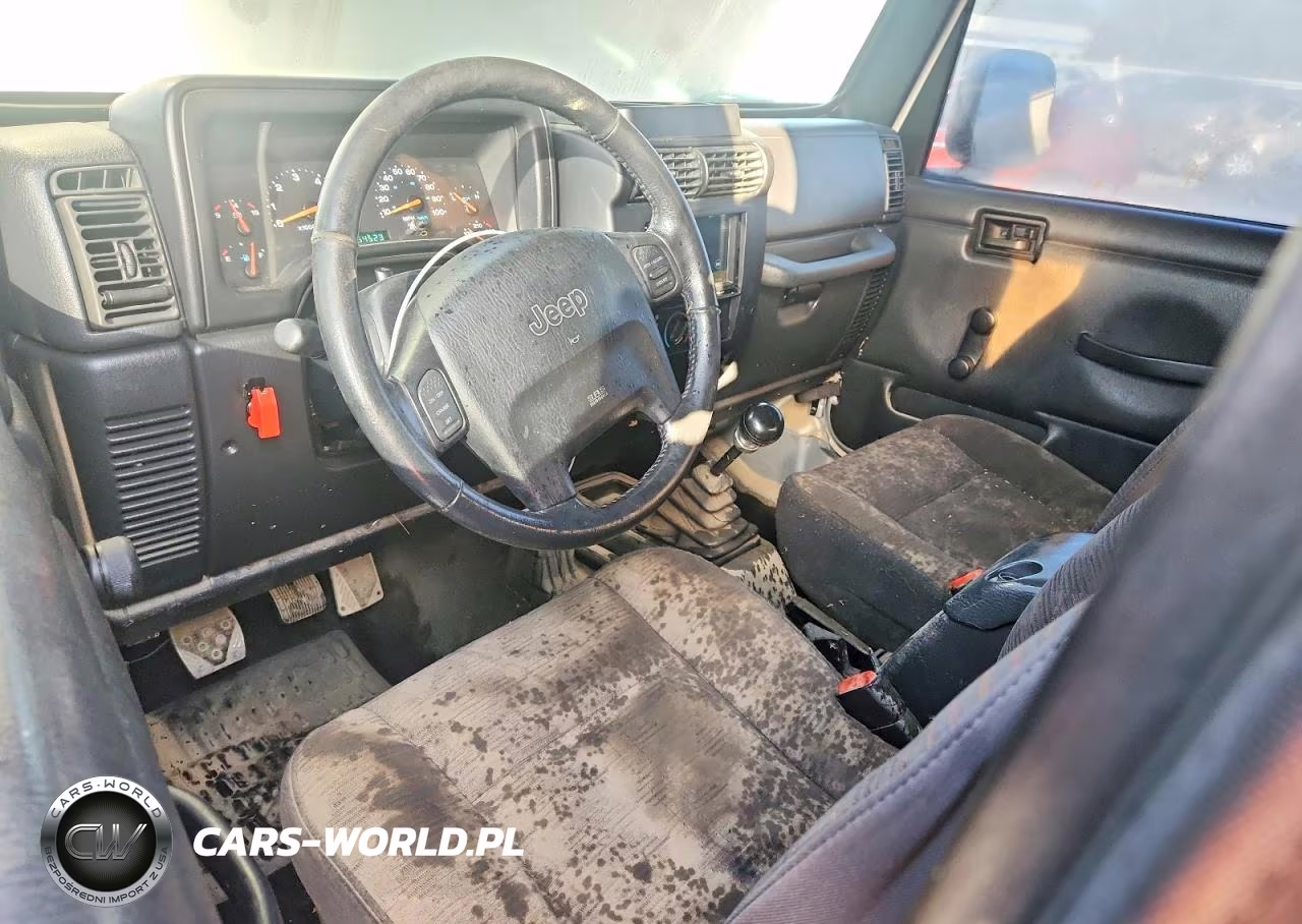 2003 Jeep Wrangler Commando-X VIN:1J4FA39S23P348207 - 8