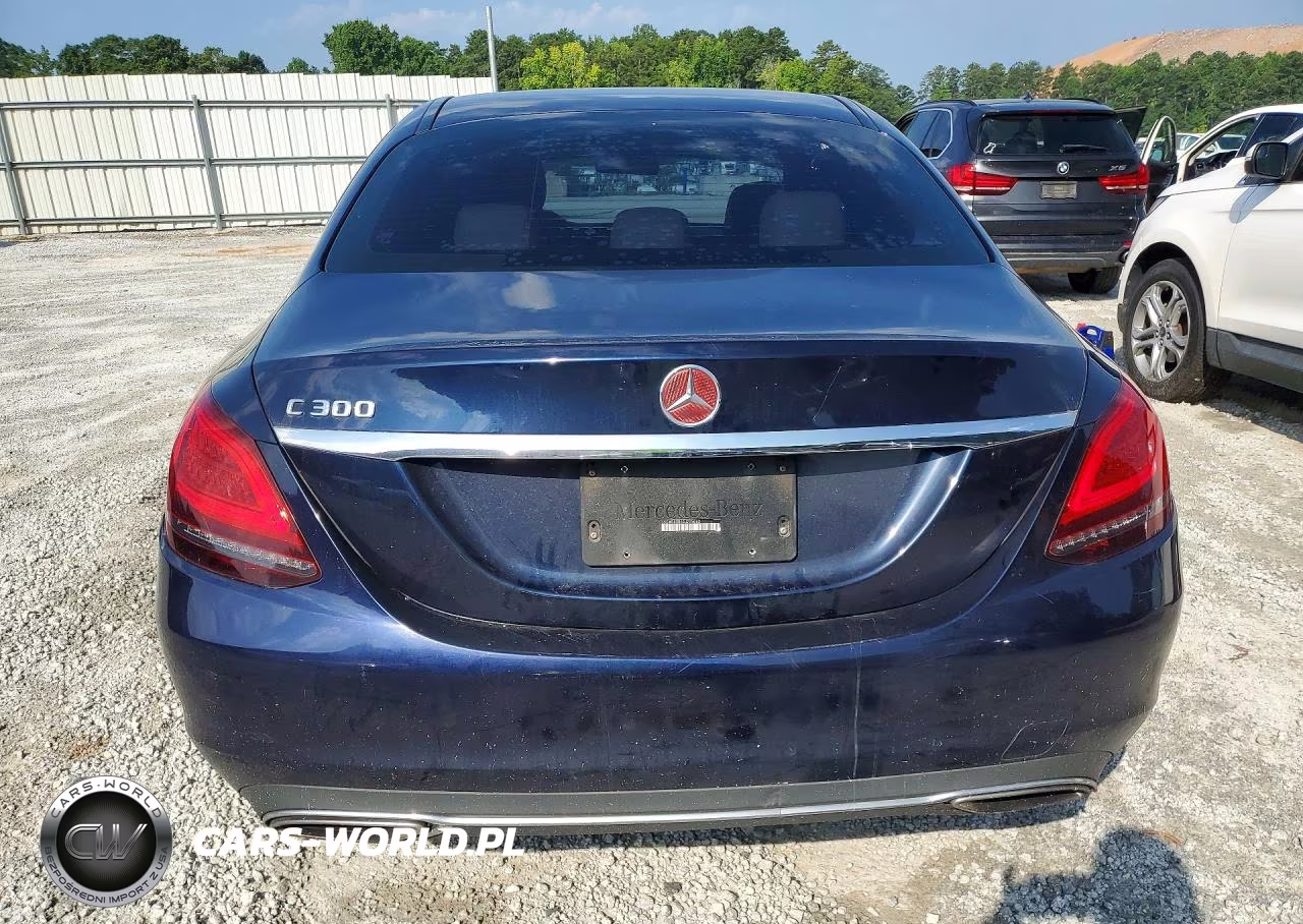 2019 Mercedes-Benz C 300 VIN:55SWF8DB6KU295062 - 6