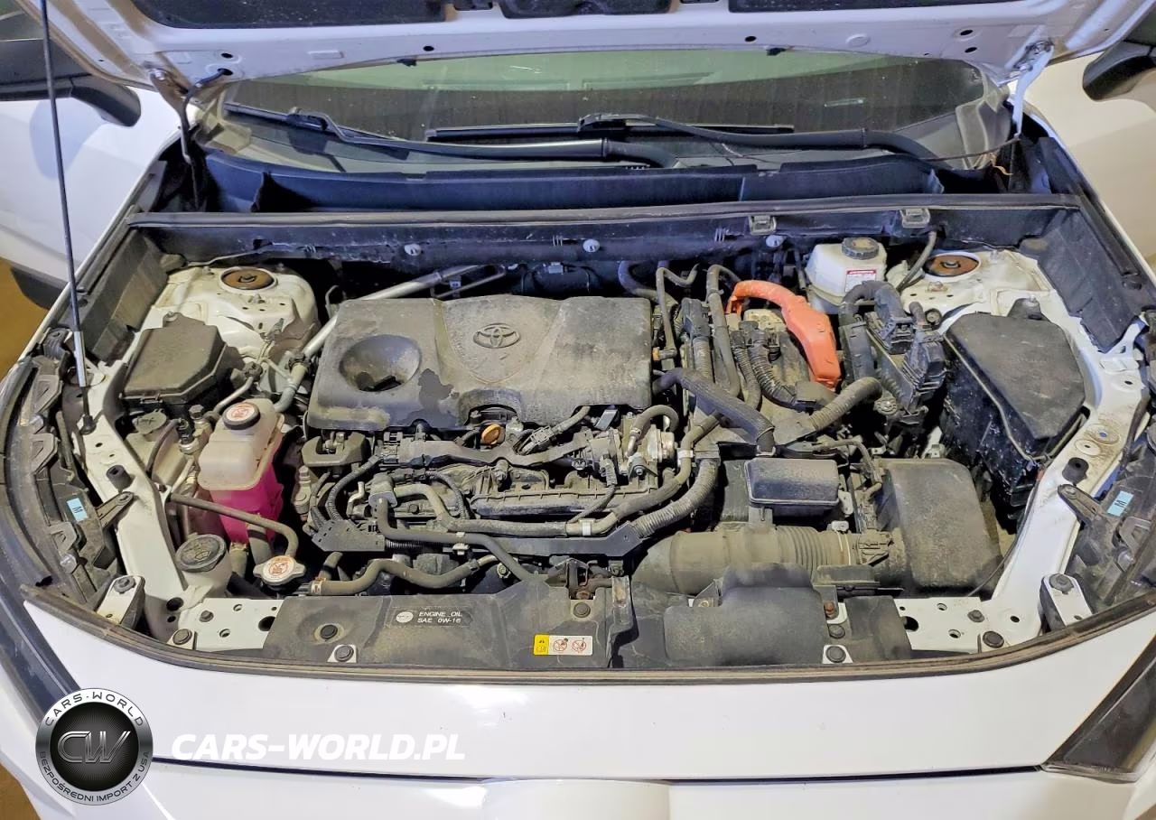 2022 Toyota Rav4 Le VIN:4T3LWRFVXNU054699 - 12