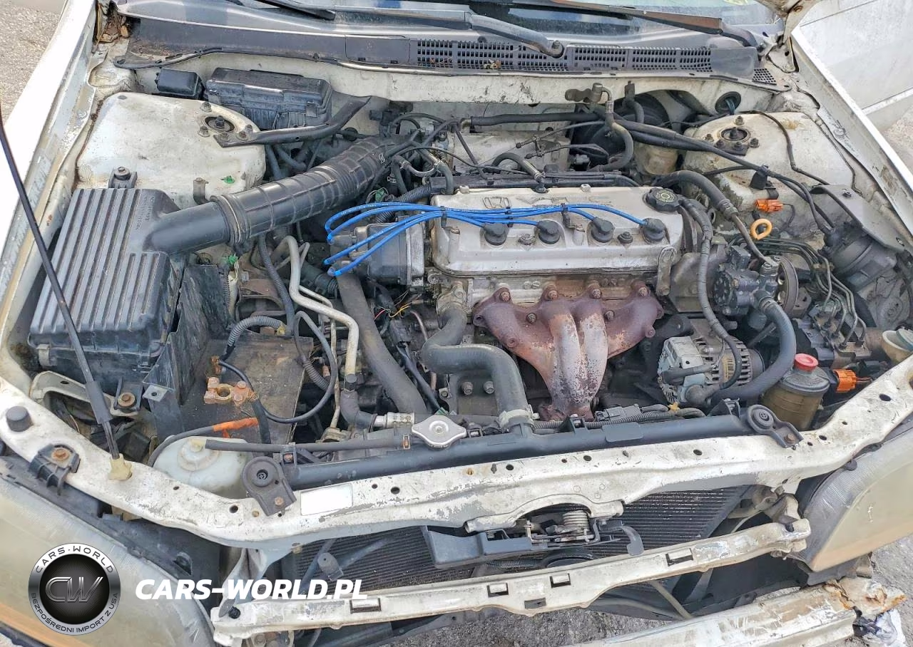 1998 Honda Accord Ex VIN:1HGCG5652WA241278 - 11