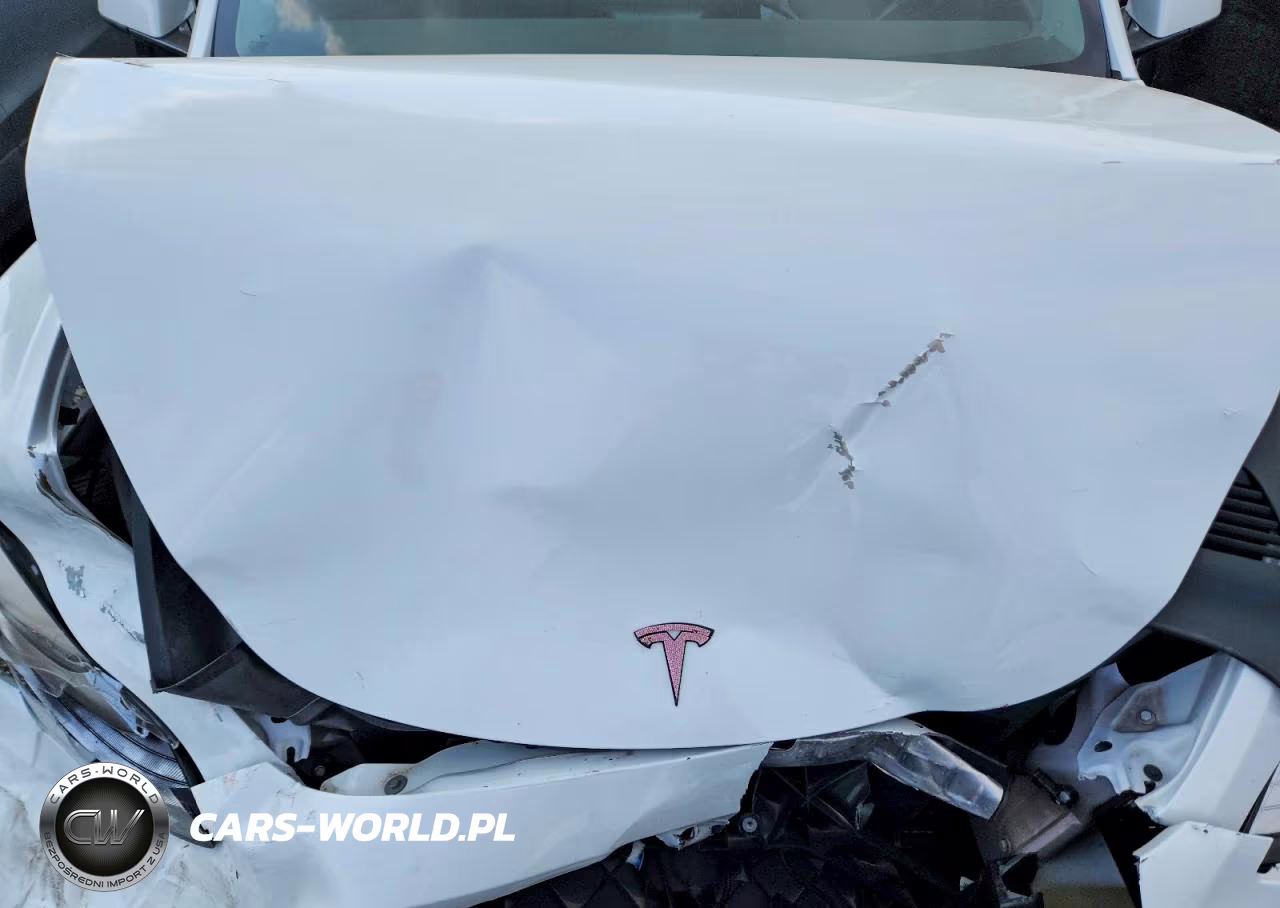 2022 Tesla Model Y VIN:7SAYGDEE9NF441065 - 12
