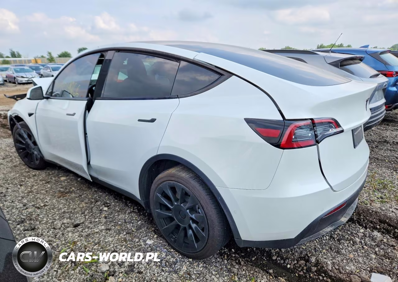 2022 Tesla Model Y VIN:7SAYGDEE9NF441065 - 2