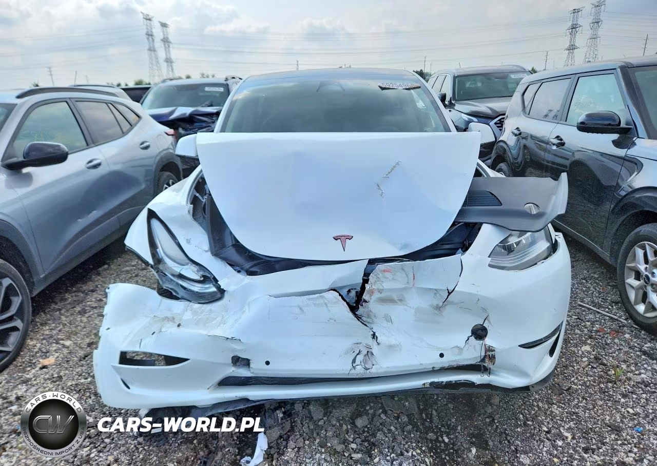 2022 Tesla Model Y VIN:7SAYGDEE9NF441065 - 5