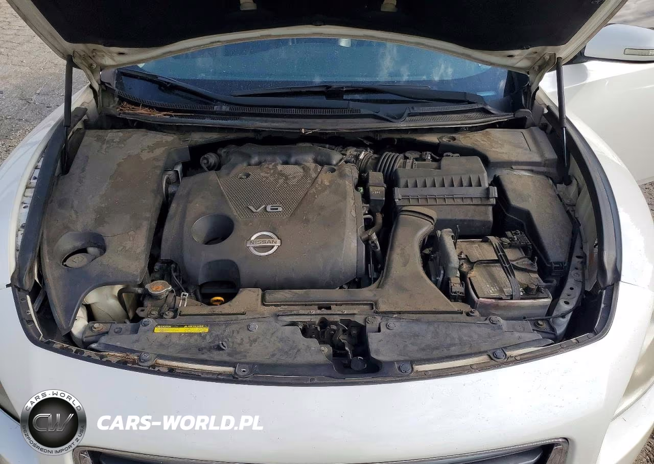 2014 Nissan Maxima S-Sv VIN:1N4AA5AP7EC442988 - 11