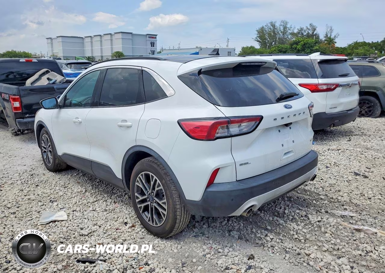2020 Ford Escape Sel VIN:1FMCU0H66LUA35564 - 2