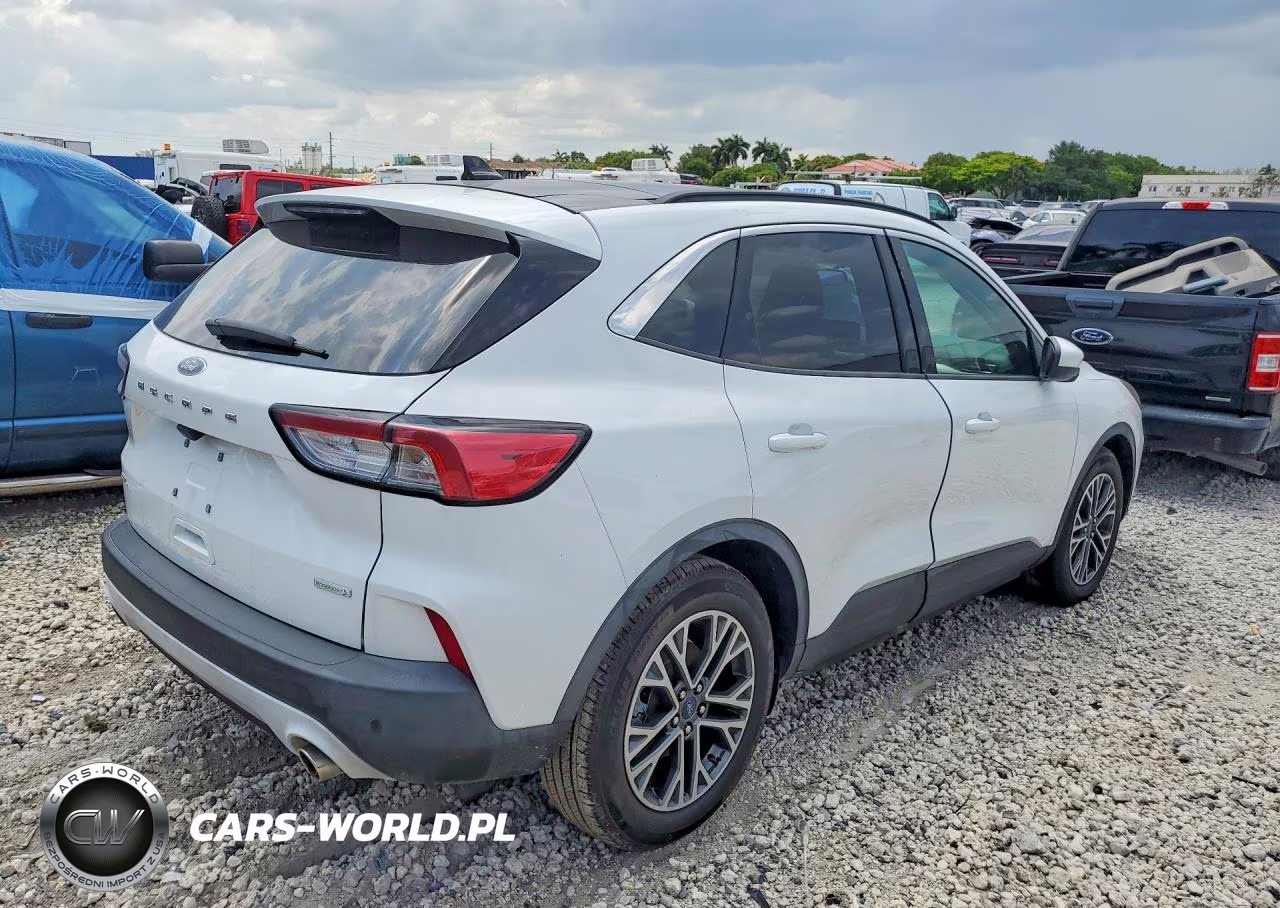 2020 Ford Escape Sel VIN:1FMCU0H66LUA35564 - 3